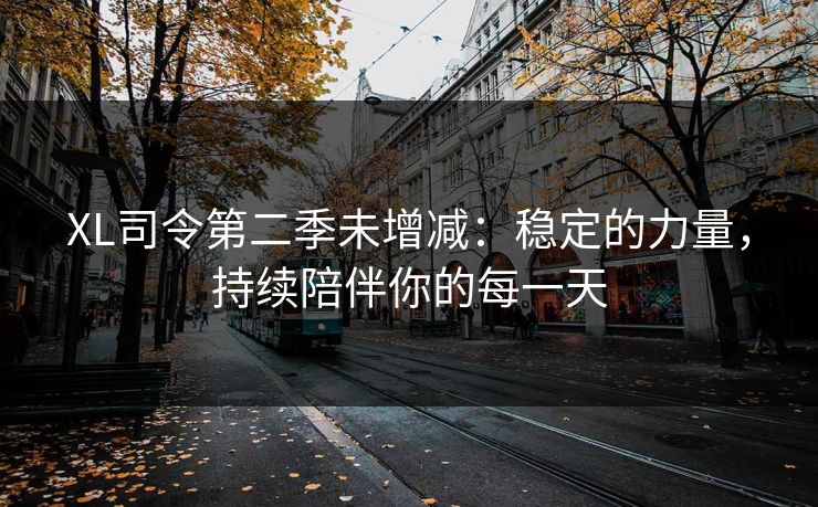 XL司令第二季未增减:稳定的力量,持续陪伴你的每一天 XL司令第二季未增减:稳定的力量,持续陪伴你的每一天